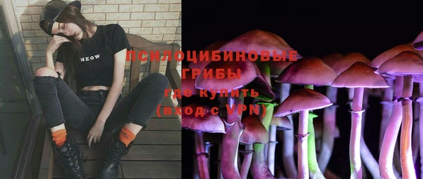 дживик Вязьма