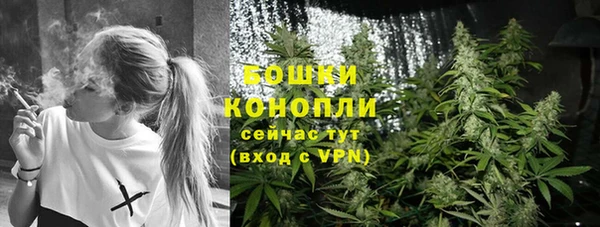 Альфа ПВП Вяземский