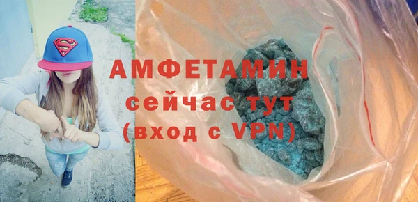 дживик Вязьма