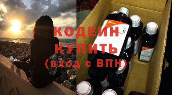 дживик Вязьма