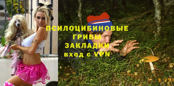 герыч Горнозаводск